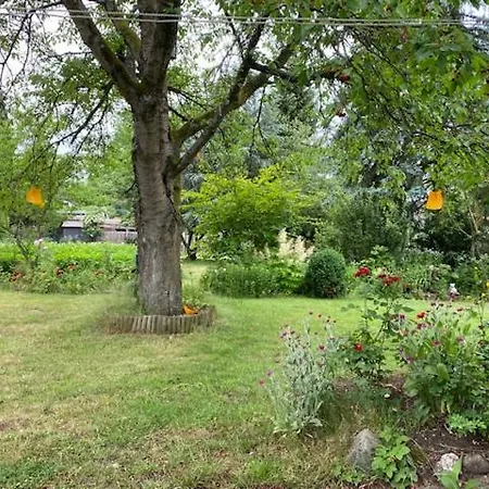 Apartment Wegener Neetze